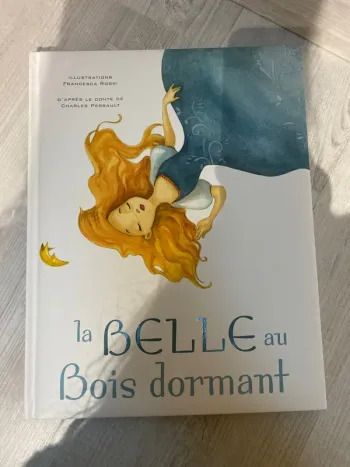 Jolie livre la belle au bois dormant