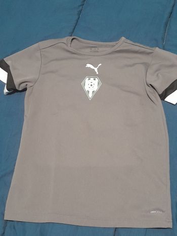 Tee shirt caudry 