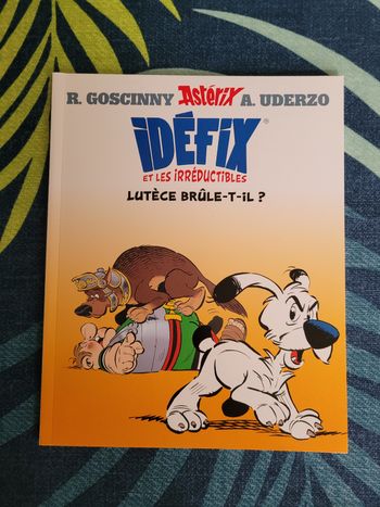 Livre idefix et les irréductibles lutece brûle t il