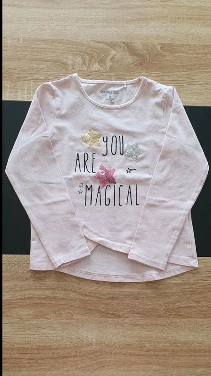 Lot de 4 tee-shirts manches longues 5 ans - photo numéro 2