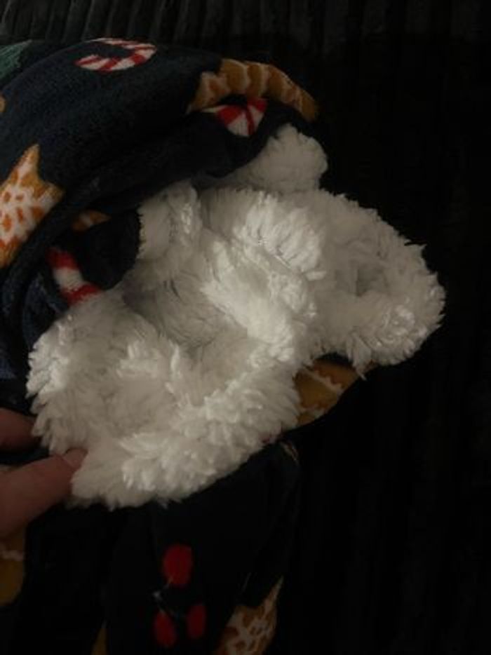 Plaid de Noël - photo numéro 4