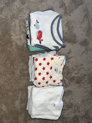 Lota de body bébé - 6-9 mois