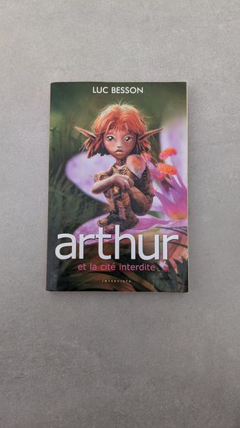 Livre Arthur et la cité interdite