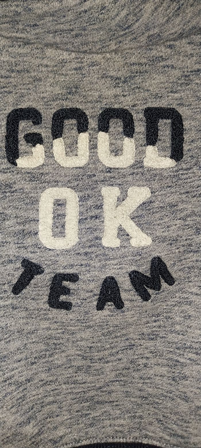 Sweat/ Pull gros col Okaidi Excellent état 2 ans - photo numéro 5