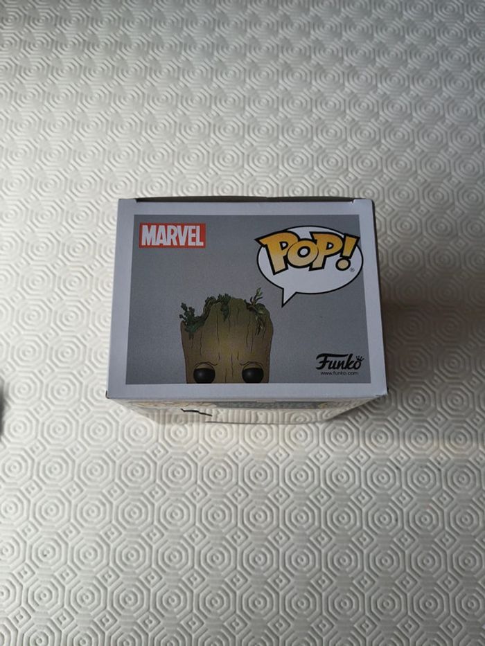 Pop groot - photo numéro 3