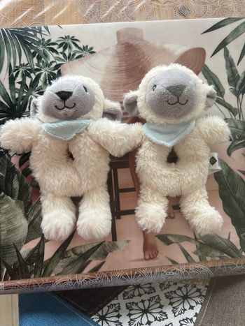Lot de 2 hochets 