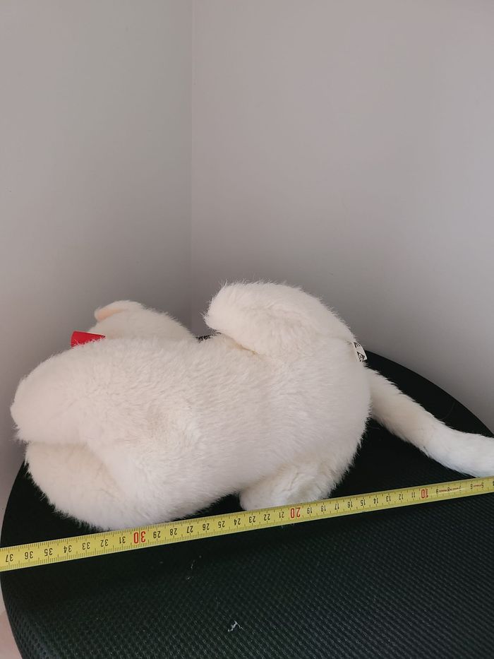 doudou chat - photo numéro 5