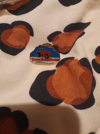 Pins vintage terre dauphinois