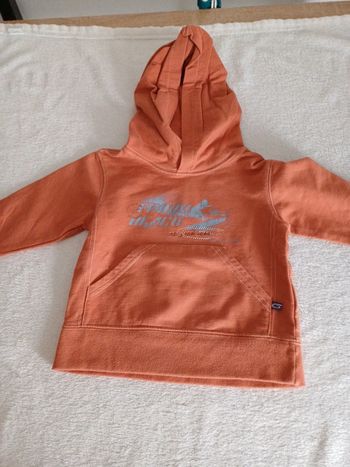 Sweat a capuche 12 mois