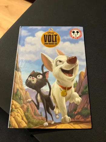Livre pour enfants Disney volt star malgré lui