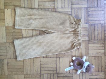 Pantalon velours beige Boutchou 36 mois