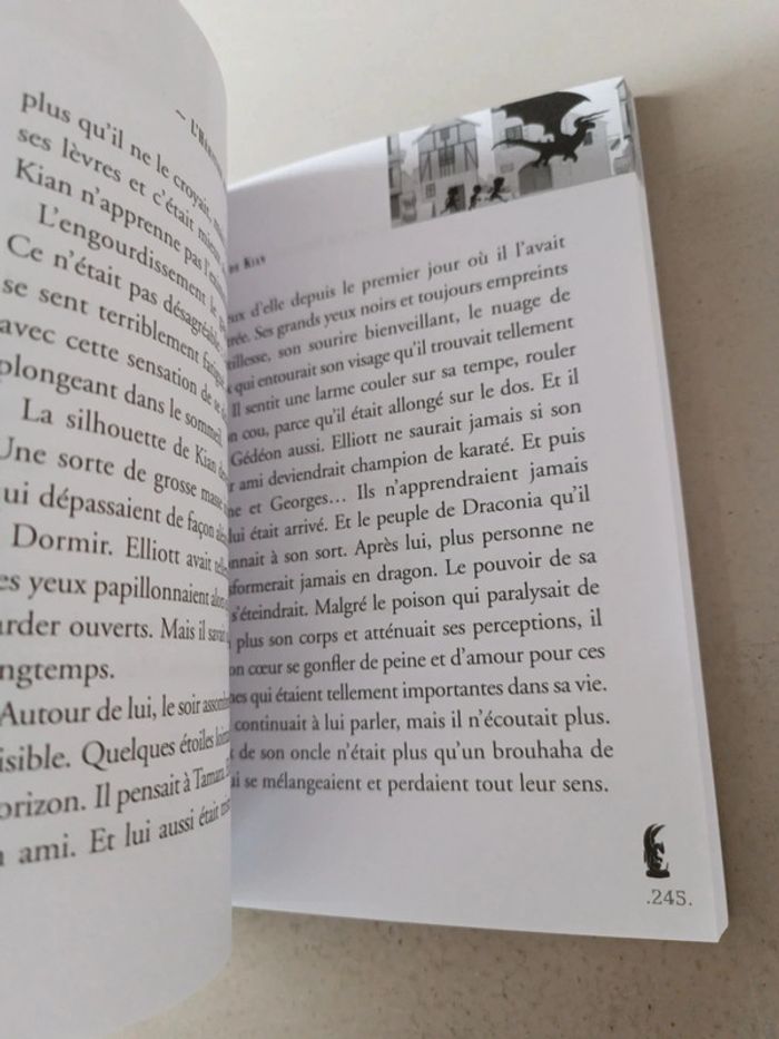 L'héritier des draconis volume 2 la sculptrice de dragon - photo numéro 5