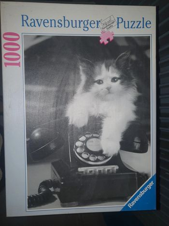 Puzzle 1000 pièces chat 🐱