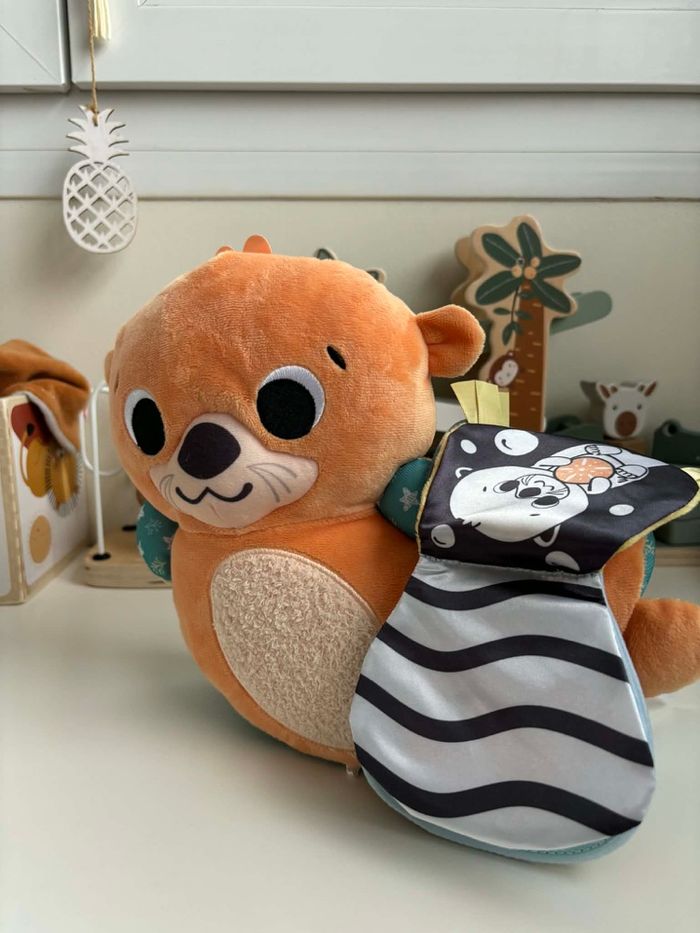 Loutre Fisher price 2 en 1 - photo numéro 2