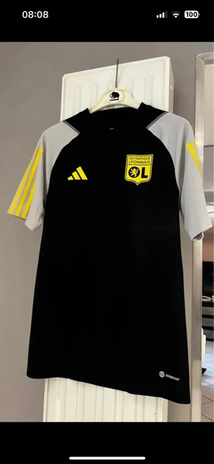 Ensemble olympique lyonnais - photo numéro 3