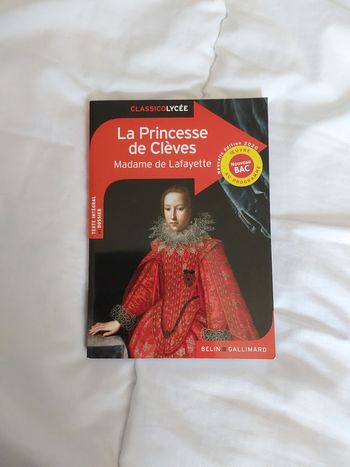 Livre titre La princesse de Cleves