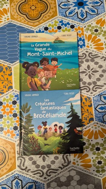 Lot 2 Livres enfant