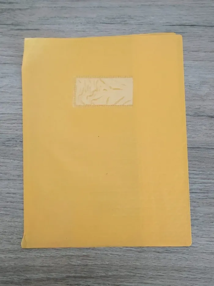 Lot 4 protège-cahier rouge noir jaune bleu - 17x22cm - photo numéro 8