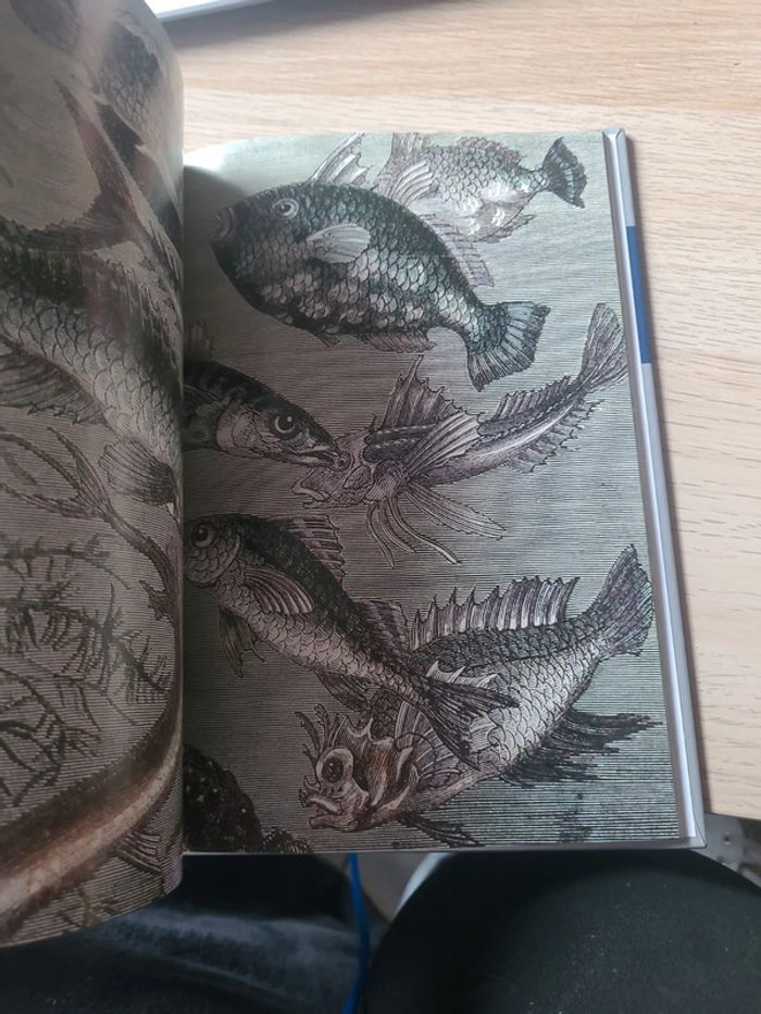 Le monde selon Jules verne - photo numéro 5