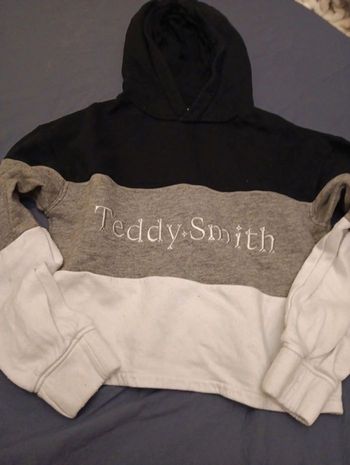 Sweat a capuche court teddy smith