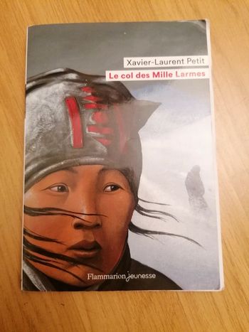 Livre Le Col des Mille Larmes
