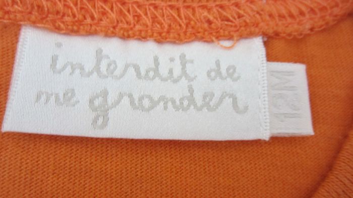 Tee shirt "Interdit de me gronder" - photo numéro 3