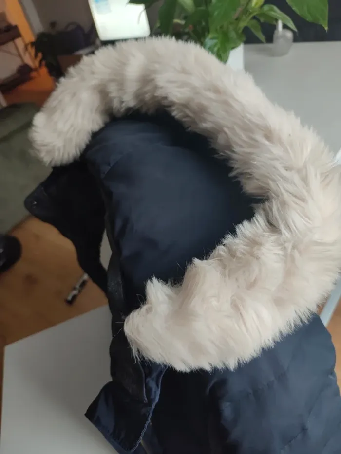 Manteau d'hiver avec capuche - photo numéro 3