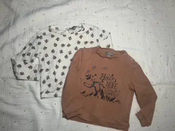 Lot de deux tee shirts 18 mois