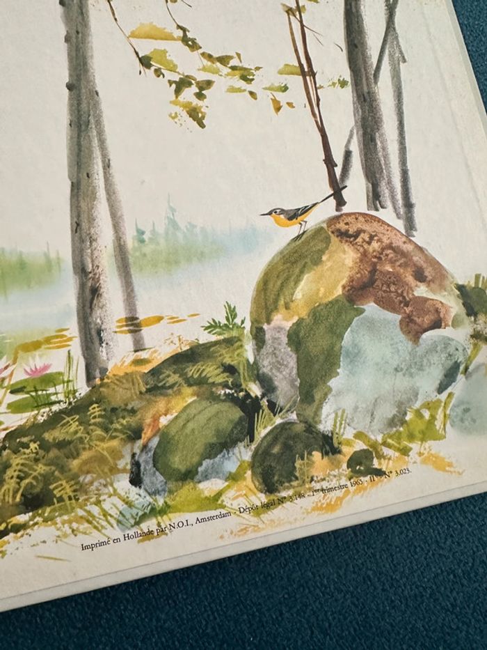 Livre bd album vintage Tim et Poum dans la forêt nature enquête hibou Pierre Probst - photo numéro 3