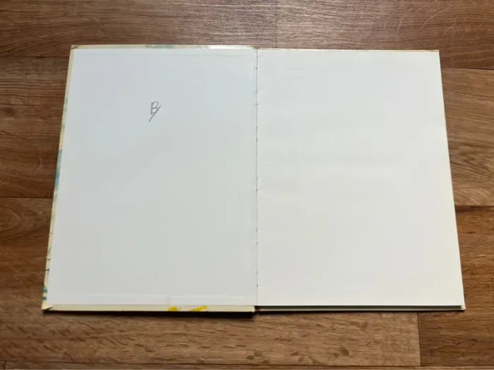 Histoire de Provence - en bande dessinée - photo numéro 3