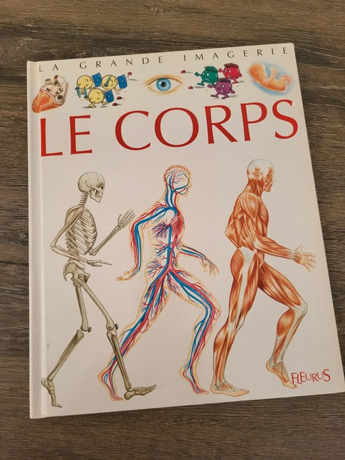 La Grande Imagerie- Le Corps