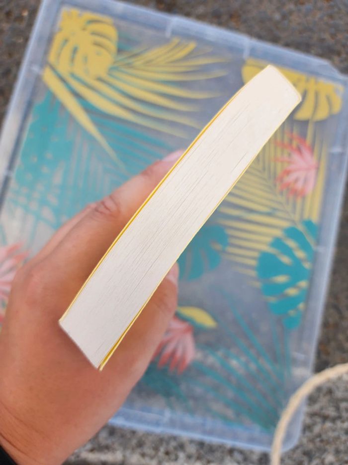 Livre broché "un héros" de Félicité Jerzog - photo numéro 6