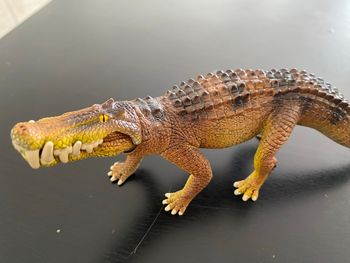 Crocodile schleich