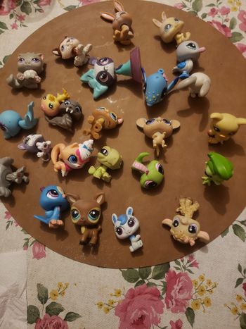 24 pets shops en bon état