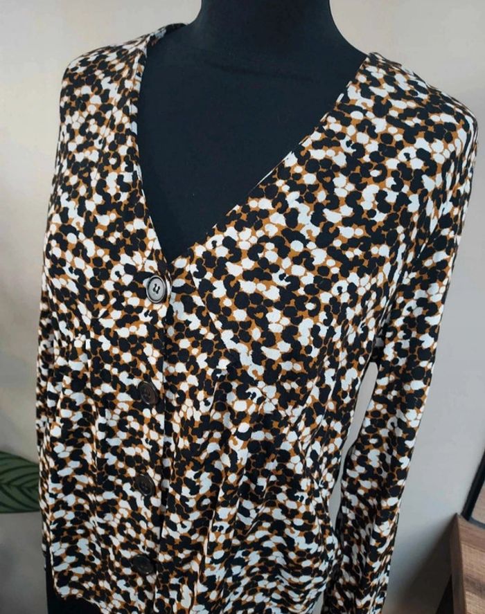 Chemise en viscose Bizzbee - photo numéro 2
