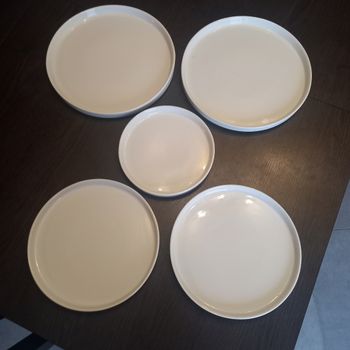 Lot de 5 plats de qualité