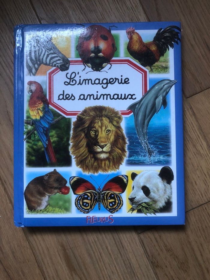 L’imagerie des animaux