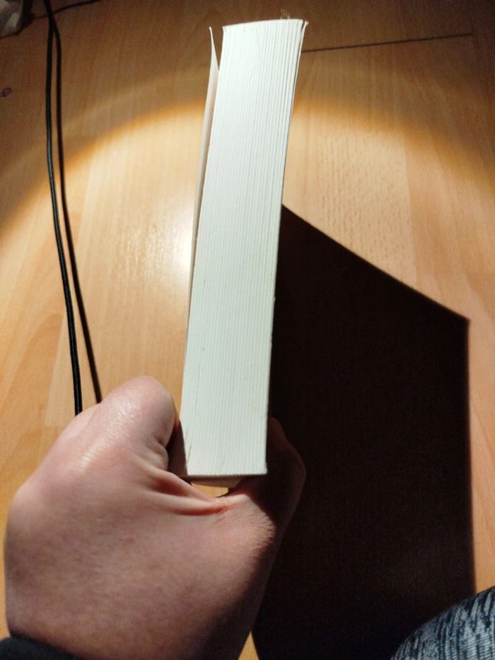 Une irrésistible envie d'aimer roman - photo numéro 4