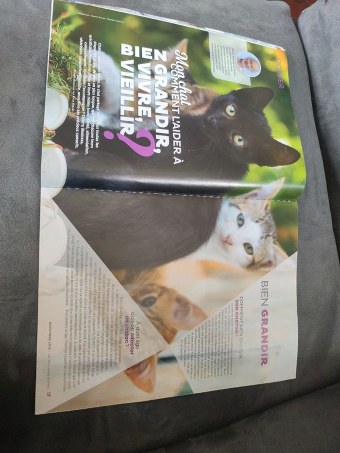 Magazine 30 millions d'amis numéro 378 novembre 2019 - photo numéro 5