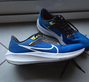 Nike Pegasus 40