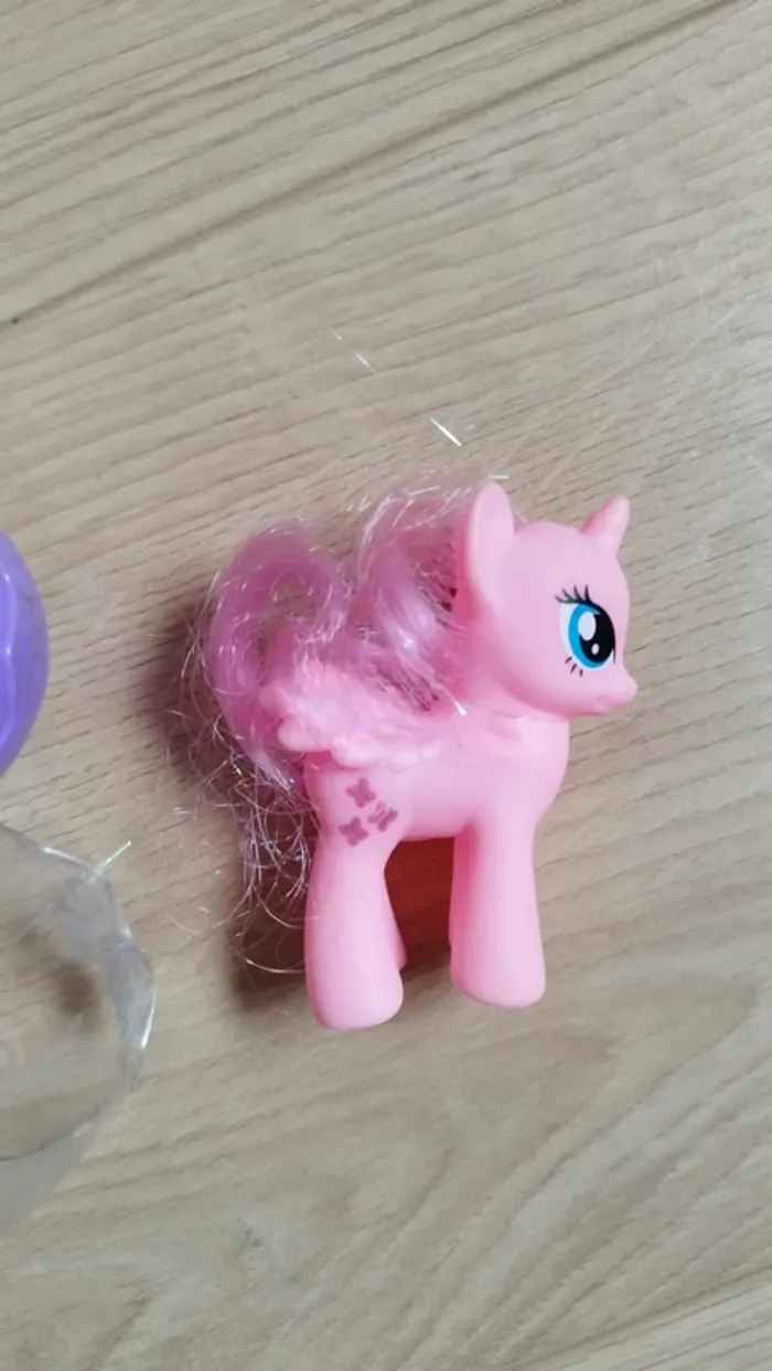 Petit poney - photo numéro 2