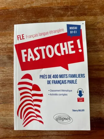 Livre fastoche! Près de 400 mots familier de français parler