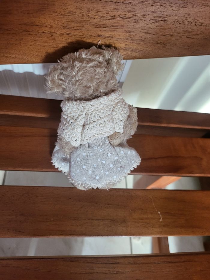 Peluche ours 🧸 🐻 - photo numéro 3