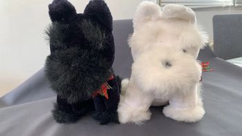 Peluche chien Westie avec noeud écossais / Les 2 peluches Black & White / noir et blanc