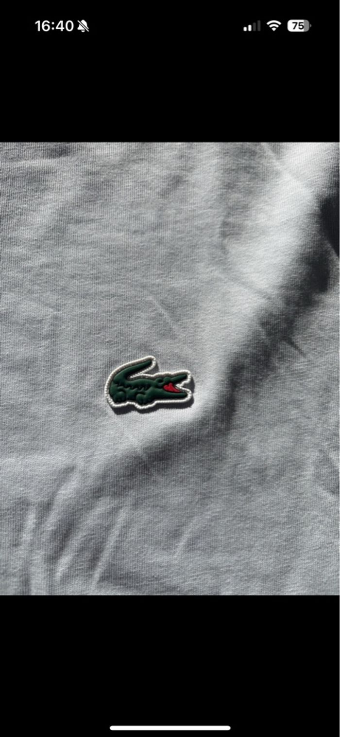 T shirt Lacoste - photo numéro 3
