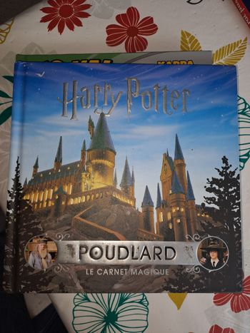 Harry potter poudlard le carnet magique