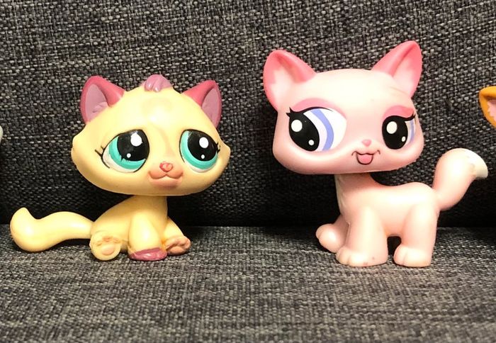 Petshops et accessoires - photo numéro 7