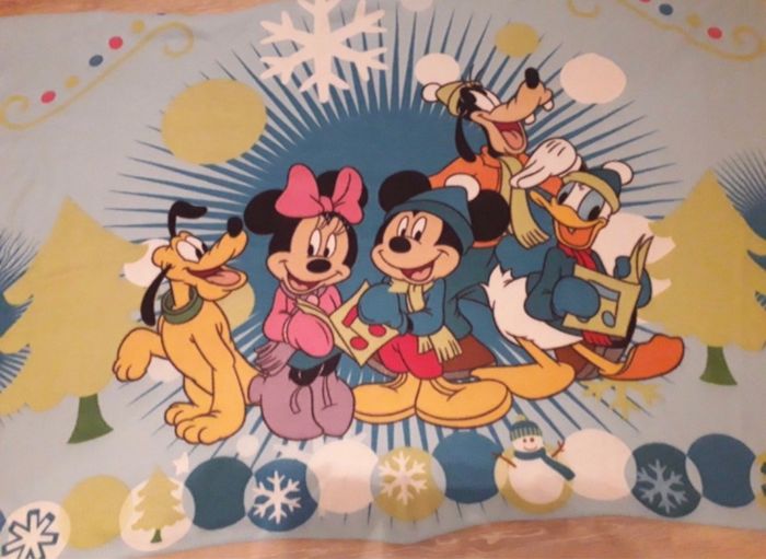 Plaid Disney - photo numéro 2