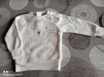 Pull polaire