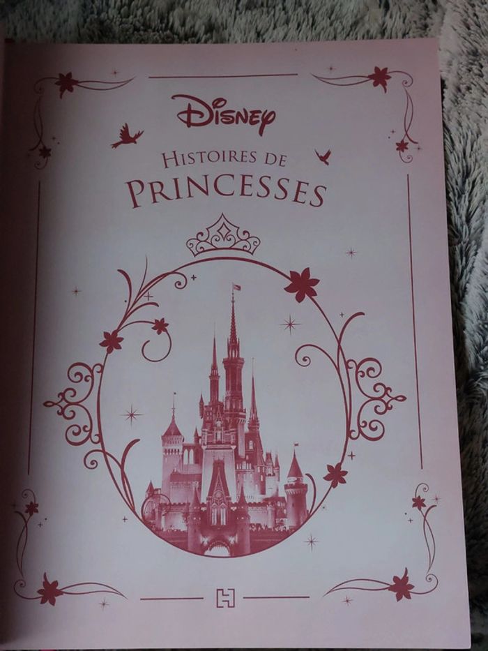 Histoires de princesse disney - photo numéro 3